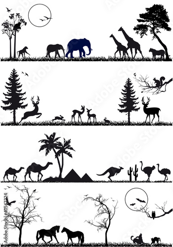 wildlife animal background set, vector