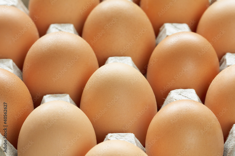 Many brown eggs in carton tray Many brown eggs in carton tray