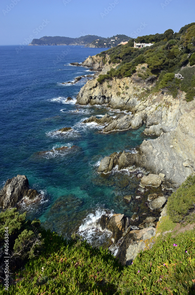 Fototapeta premium Giens00