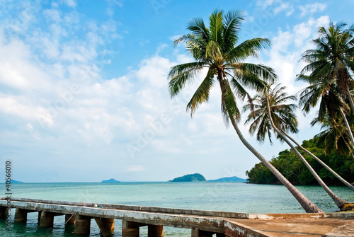 On the tropical beach