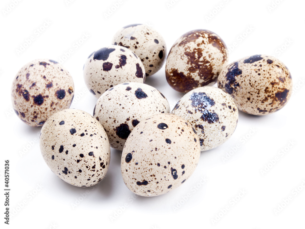 Quail eggs isolated on white