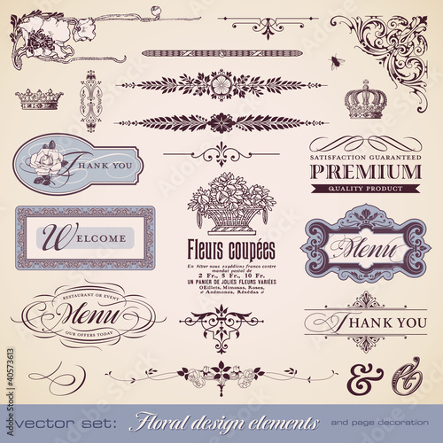 floral design elements and page decoration