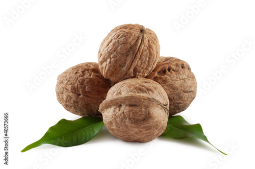 Walnuts are a bunch of illuminated from behind