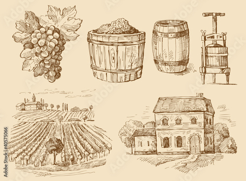 vineyard-original hand drawn collection