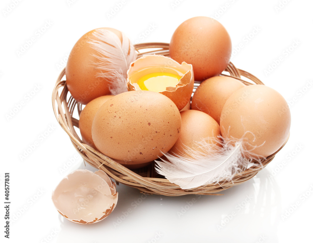 chicken eggs in a nest isolated on white chicken eggs in a nest isolated on white