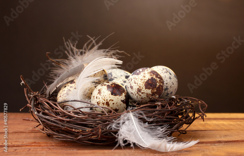 quail eggs in nest on wooden table on brown background