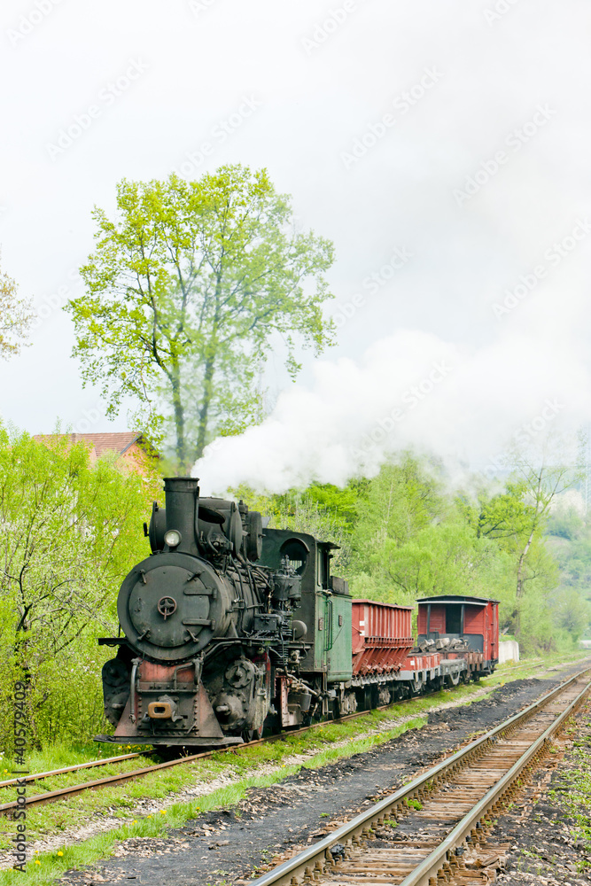 Fototapeta premium kolej wąskotorowa, Banovici, Bośnia i Hercegowina