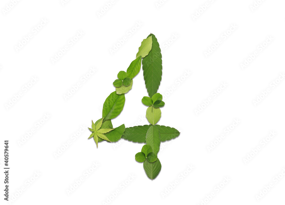 Obraz premium 葉っぱの文字