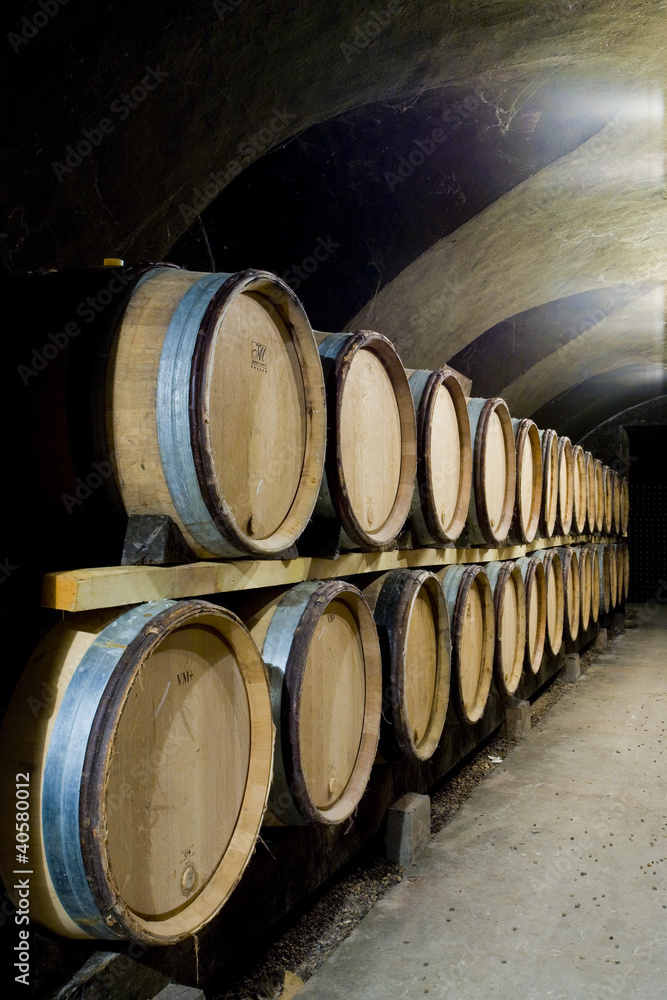 wine cellar, Buxy, Burgundy, France