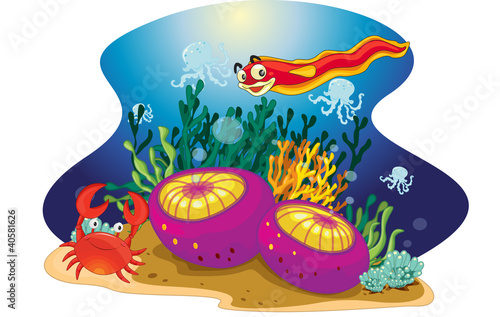 sea animals