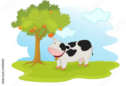 cow under tree