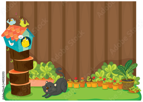 cat and birds