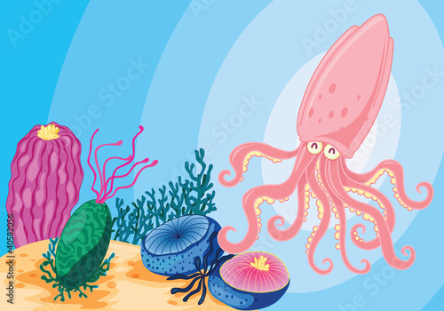 sea animals