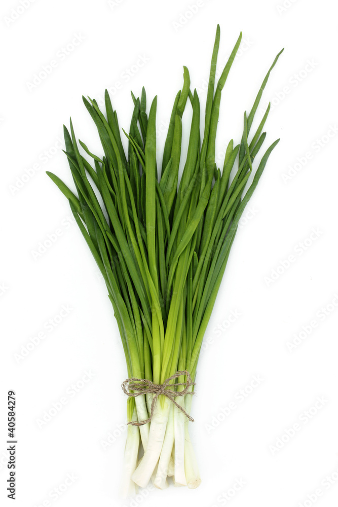 Arrows young green onions linked bow of rope Arrows young green onions linked bow of rope