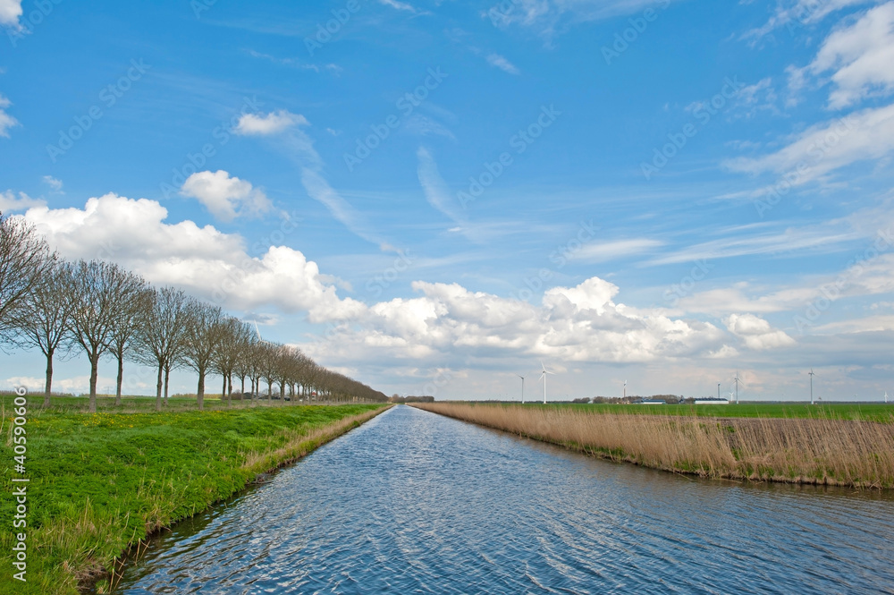 Canal through a Dutch landscape in spring