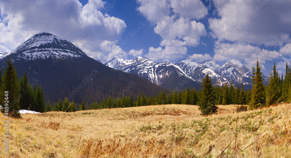 Panorama of the spring mountains