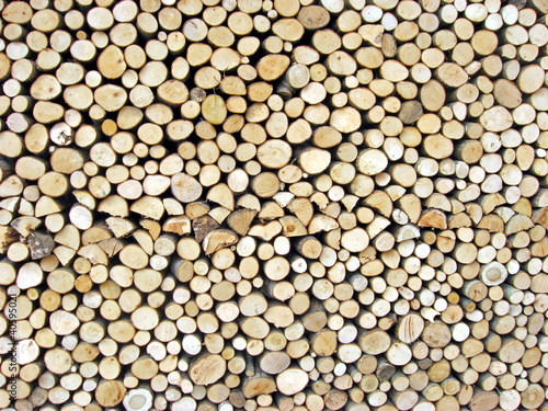 shed of logs
