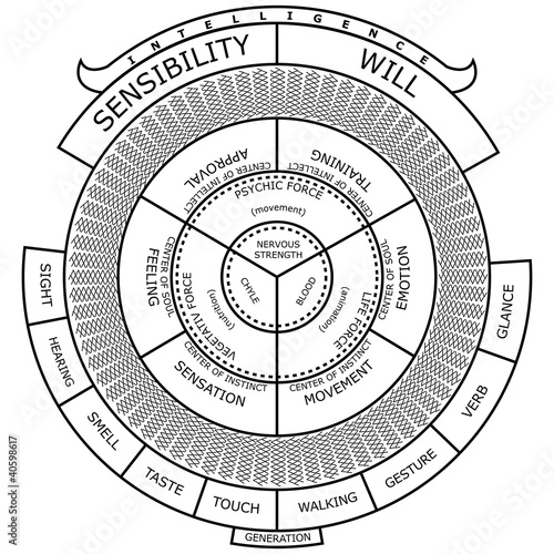 Schéma de la constitution psychologique humaine