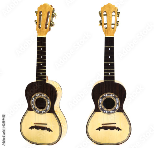 traditional chord instrument in white background
