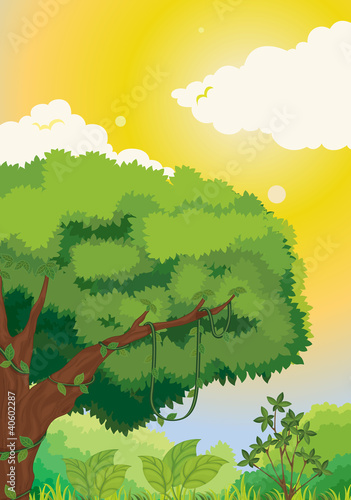 Forest