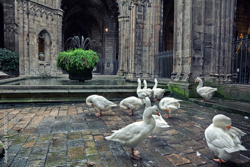 Cathedral in Barcelona