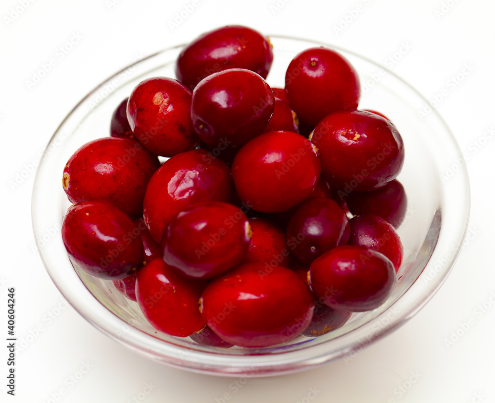 cranberries in glass bowl cranberries in glass bowl