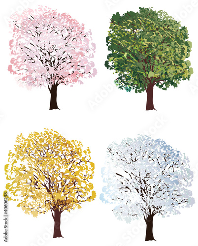 four seasons trees collection