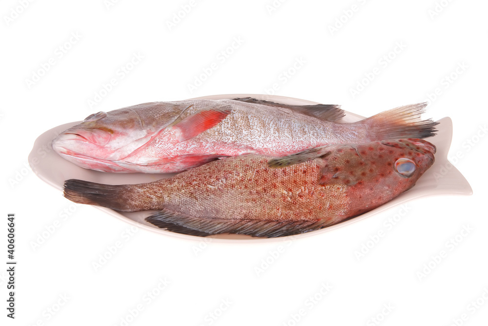 set of fresh raw fish on plate set of fresh raw fish on plate