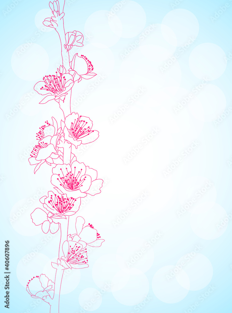 Fototapeta premium background with sakura flowers