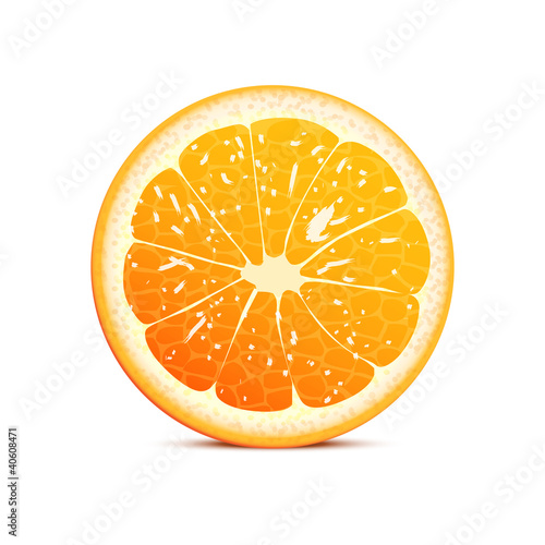 orange vector illustration