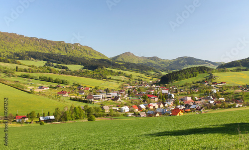 settlement in the mountains among the green pastures