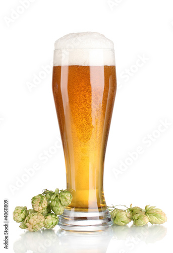 beer in a glass and green hop isolated on white