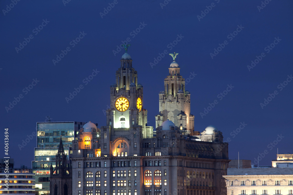 Obraz premium Liverpool City View