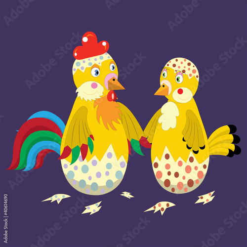 Hatching chickens.