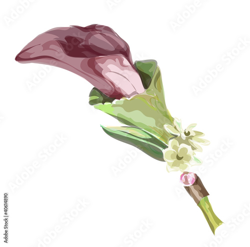 Calla burgundy color.
