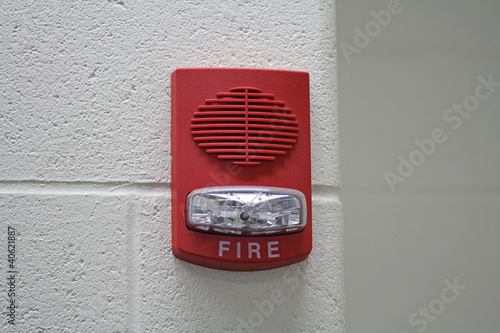 Vászonkép Red Fire Alarm with Strobe