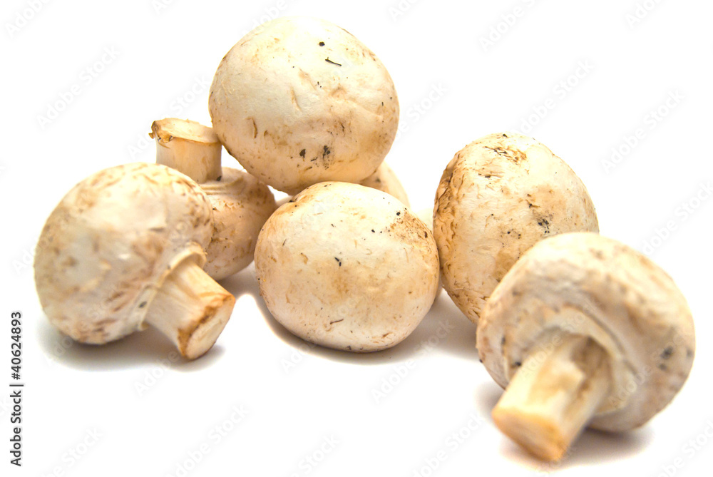 fresh champignons on white