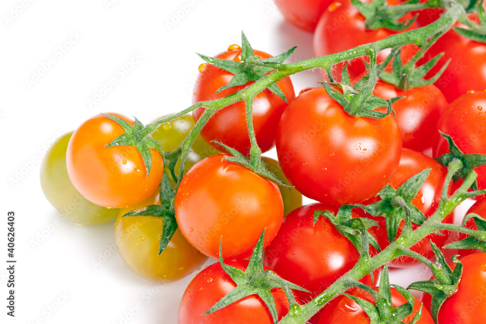 Tomato isolated on white background.