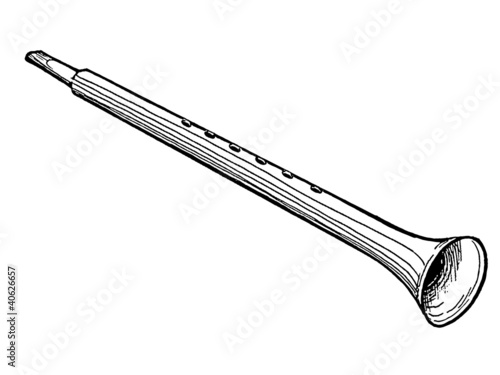 flute