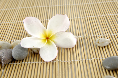 frangipani flower with stones on bamboo mat