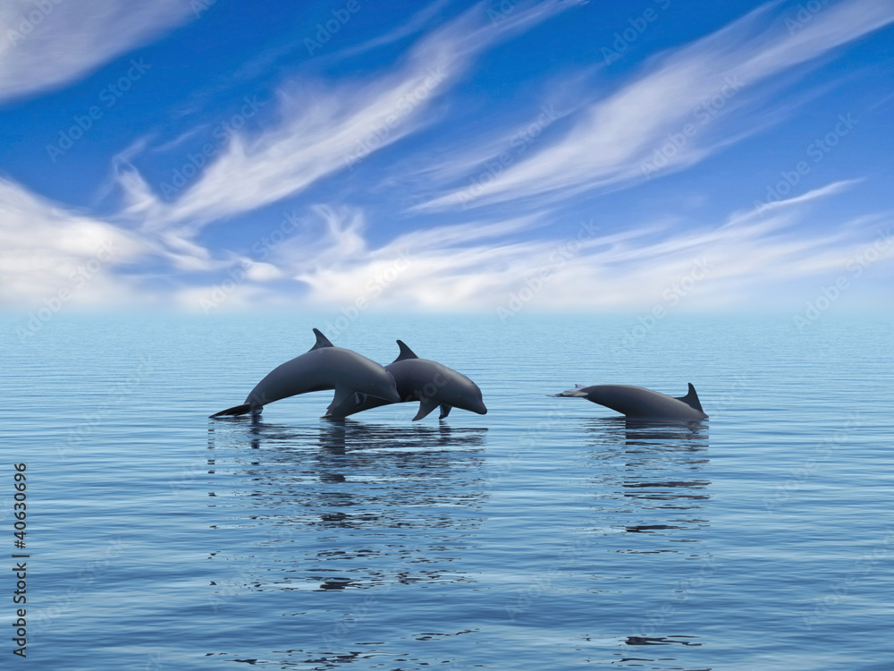 Fototapeta premium Three dolphins floating at ocean. 