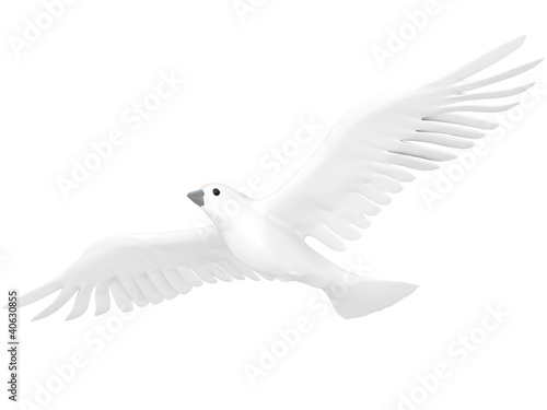A free flying white dove isolated on white background.