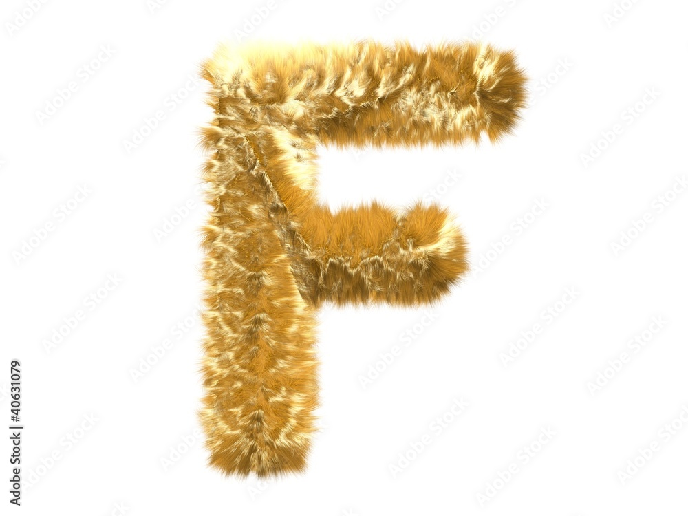 Letter F from fur fox alphabet Letter F from fur fox alphabet
