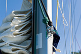 Sailing boat mast with mainsail and spinnaker halyard