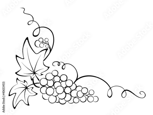 Design element - Grapevine