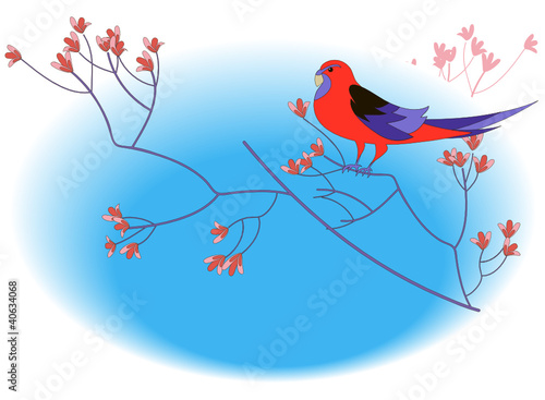 Red Parrot on a flowering branch