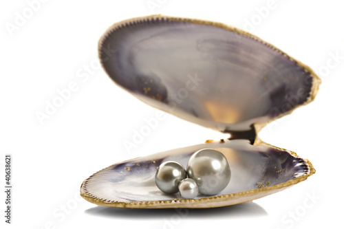 Beautiful pearls in a seashell
