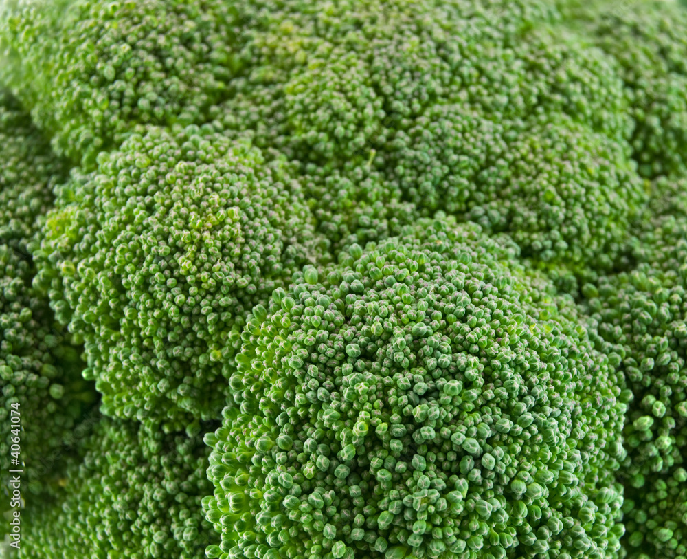 Isolated fresh green broccoli Isolated fresh green broccoli