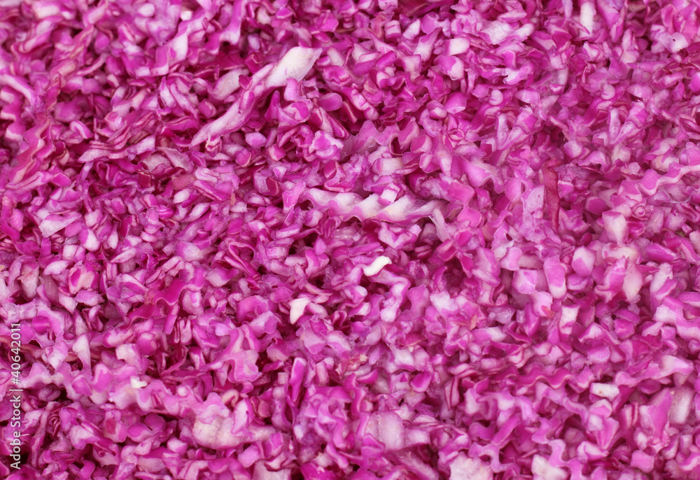 Onion Background Onion Background