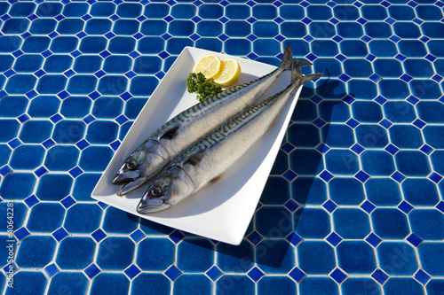 Makrelen bereit zum Grillen